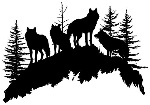 Silhouette of a wolf pack on a mountain with pine trees, isolated 