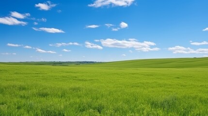 Fototapeta premium Sweeping summer landscape vibrant green field, clear blue sky with puffy clouds, ideal sunny day