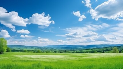 Picturesque green field under clear blue sky, a perfect summer landscape setting