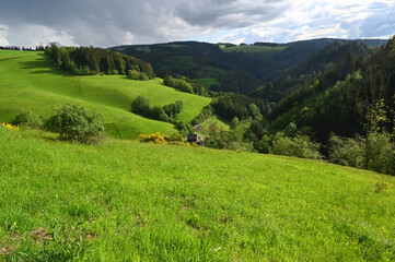 Black Forest agriculture mountain landscape in Germany with green grass and herbs and blue sky.