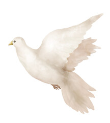 Graphic watercolor illustration art of lovely wedding Dove flying in pastel colours. Idea for books, cartoons, childrens posters, stickers, icons, background, prints, banner