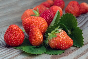 Fragole