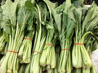 Obraz premium Group of objects fresh green mustard greens that have been tied