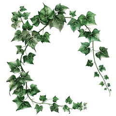 Naklejka premium Lush Ivy Leaves Abstract Botanical Illustration on White Background