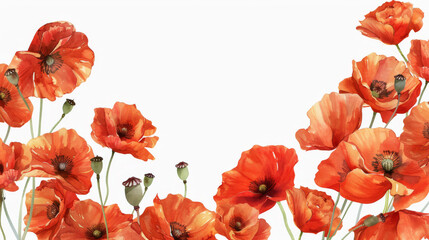 Fototapeta premium A watercolor painting of a field of red poppy flowers as a border frame on white background 