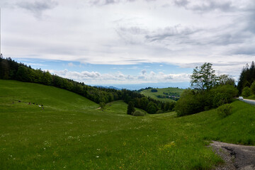 Naklejka premium Black Forest Schwarzwald in Spring