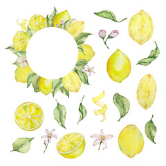 Watercolor lemon frame set with fruit, slice, leaves and flowers