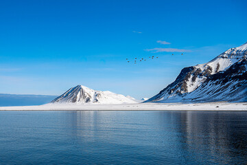 2023-12-31 A JAGGED AND SMOOTH SNOW COVERED MOUNTAIN RANGE WITH A CALM ARCTIC OCEAN AND A CLEAR BLUE SKY WITH BIRDS FLYING ACROSS THE SCREEN NEAR SVALBAR NORWAY IN THE ARCTIC - Powered by Adobe