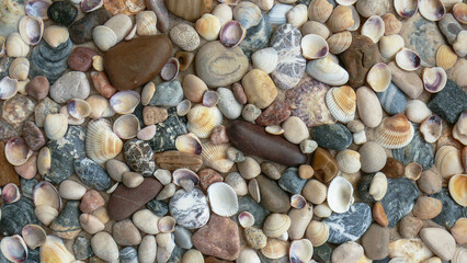a pile of sea pebbles, shells in the sand