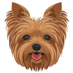 Yorkshire Terrier Dog Head Illustration