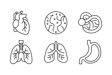 Human Organ Anatomy lung Vector Icons for Medical and Educational symbol