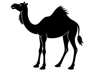 camel animal vector silhouette illustration