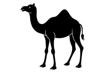 camel animal vector silhouette illustration