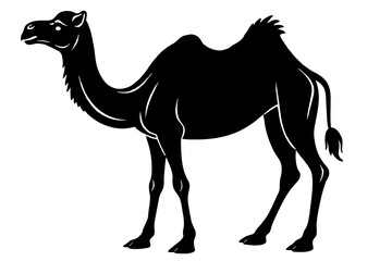 camel animal vector silhouette  illustration