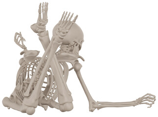 skeleton posing 3d render anatomical illustration with transparent background
