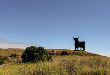 Vista panorámica de unos campos de cultivo con colina y un toro en el fondo. 