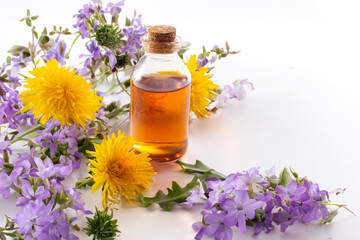 Dandelion flowers and dandelion flowers tincture on white background. Flat lay