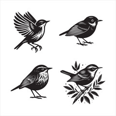 Fototapeta premium Aquatic Warbler silhouette vector icon graphic logo ai generated design