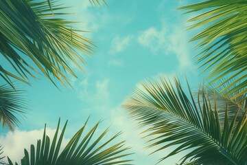 Vintage Palm Trees, Retro Aesthetic with Palm Leaves Canopy, Tropical Background Design Evoking Summer Vibes and Sky Views