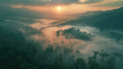 Breathtaking view of a misty forest valley at sunrise, with sunlight breaking through the clouds and casting a golden glow over the lush green landscape.