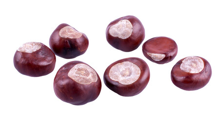 chestnuts isolated on white or transparent background