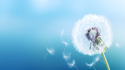 Abstract dandelion flower
