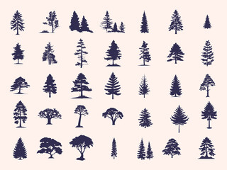 Silhouettes Trees Set, Pine Tree fir  pruce cedar white patch alder elm birch ash cypress beech palm tree.