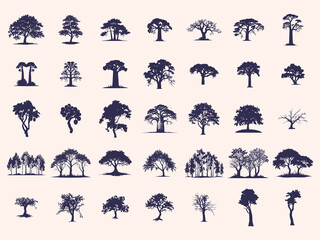 Silhouettes Trees Set, Pine Tree fir  pruce cedar white patch alder elm birch ash cypress beech palm tree.