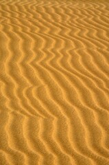 Ondas en las dunas de Sharqiya Sands, Sultanato de Omán