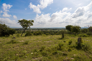 Tanzania - Tarangire National Park 