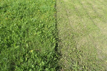 Comparison of grass cutting on the field before and after cutting.