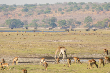 Botswana