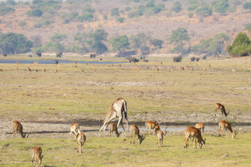 Botswana