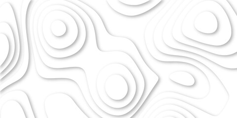 White gray light papercut abstract smooth curves wavy background vector illustration, 3d topography relief papercut decoration textured with wavy layers concept smooth origami paper cut vector.