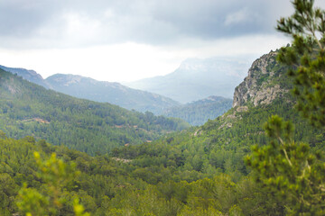 Naklejka premium Paisaje montañoso con pinares en la Reserva natural de Llaberia