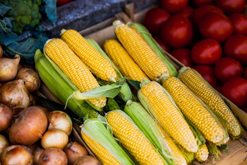 Close-up view of fresh corn cobs and onions at a farmers market, showcasing vibrant colors and natural freshness.