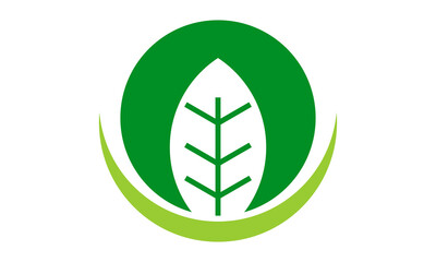 green leaf logo icon