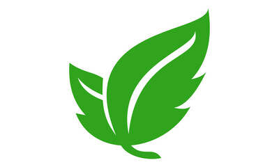 leaf logo vector