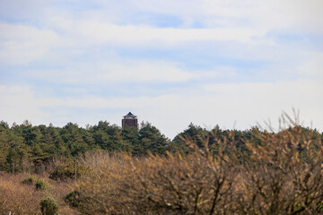 A spire rises out of the dune forests in the Dutch town of Bergen aan Zee on a sunny day with a blue sky
