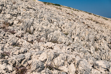 Detail of limestone rocks on the coast of Mediterranean Sea during summer