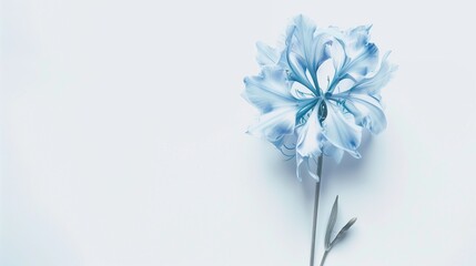 AI generated illustration of a blue flower on white background, single stem