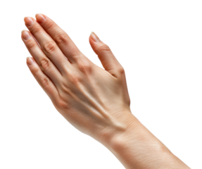 Hand gesture in prayer position on transparent background