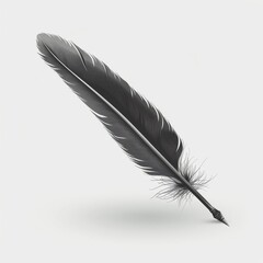 A single black feather stands upright against a plain white background,