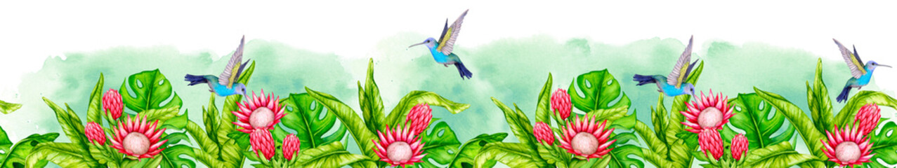 Seamless border of tropical leaves, protea flowers and hummingbirds. Watercolor botanical illustration. Floral pattern. Design for invitations, posters, cards, greeting cards, stationery, etc.