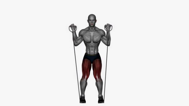 3d animation of narrow stance squats exercise with resistance band with male muscle highlights