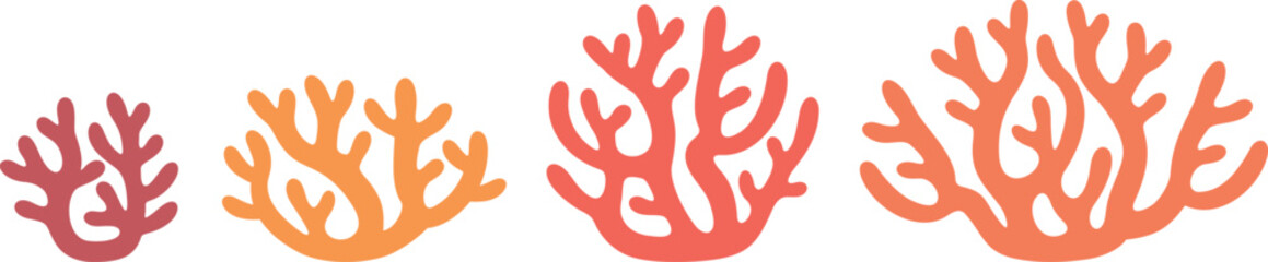 Crop stages of coral. Isolated coral on white background