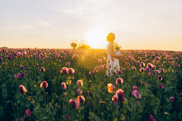Young woman at sunset in a field of purple poppies