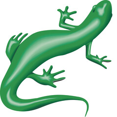 green lizard on a white