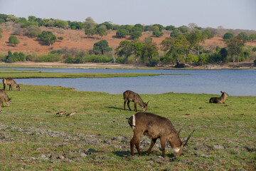 Botswana
