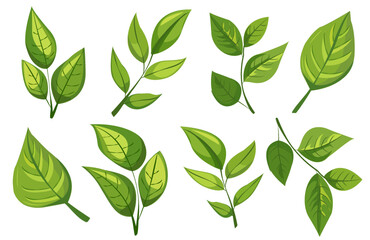 featuring eight different types of green leaves. Each leaf showcases unique shapes and vein patterns. graphic is simple, clean, and vibrant, ideal for nature-themed designs and eco-friendly projects